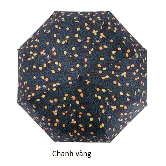 [Hàng mới] Ô che nắng họa tiết - đóng mở tự động