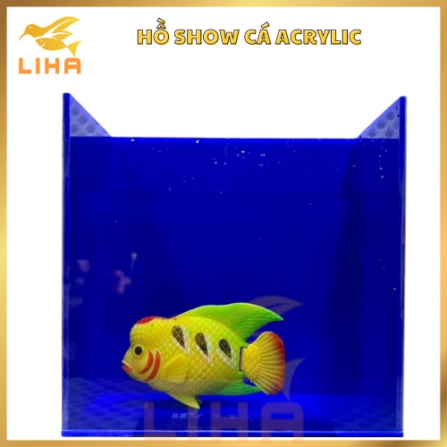 Hồ Show Cá Chất liệu Acrylic - Keo Show/Bể Show Cá Betta Guppy