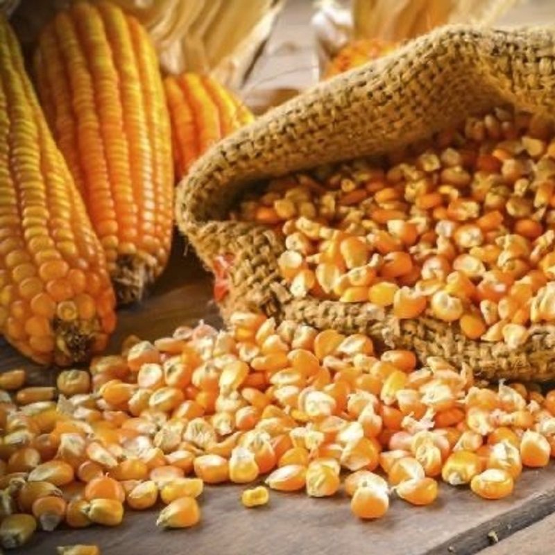 Bắp hạt khô - Ngô hạt cho hamster, chim, gà gói 200gr