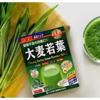 Bột mầm lúa mạch non Nhật bản - bột cỏ lúa mì