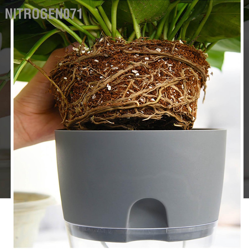Nitrogen071 Tự tưới nước Trồng cây Bông Dây nhựa Trang trí Chậu trồng cho ngoài trời trong nhà Hoa thảo mộc