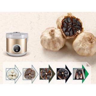 (Shop Trợ Giá) Nồi làm tỏi đen Sunca