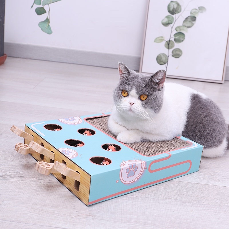 ĐỒ CHƠI CHO CÁC BÉ MÈO 2in1 BÀN CÀO CHO MÈO