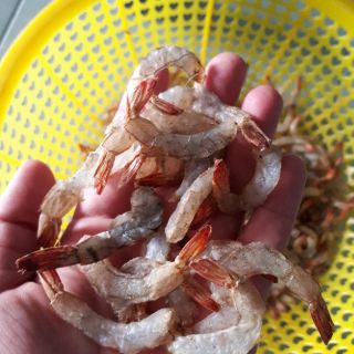 Tôm Đất lụi đặc biệt