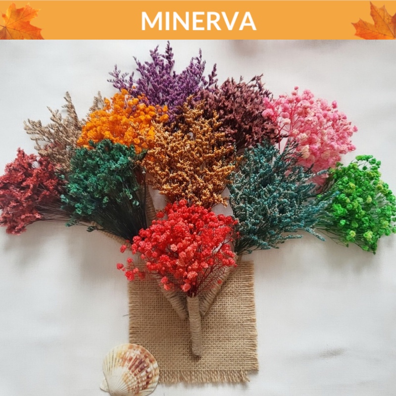 TRANG TRÍ Bó hoa khô mini handmade phụ kiện chụp ảnh, bó hoa quà tặng