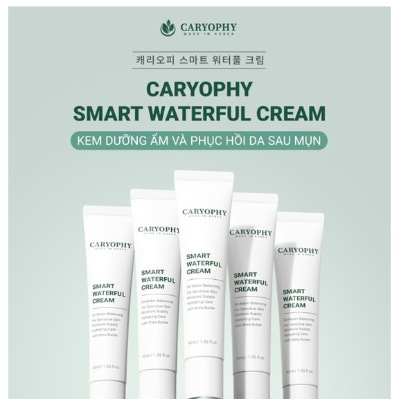 Kem dưỡng cấp nước và phục hồi da mụn Caryophy Smart Waterful Cream 40ml