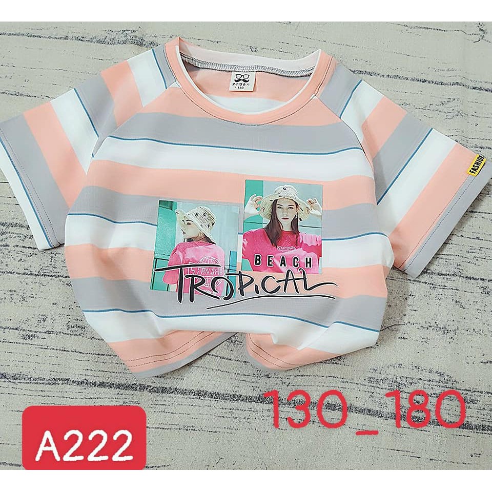 Áo croptop COOL bé gái điệu đà thun cotton xinh mát hàng nhập y hình 4 màu