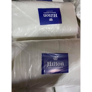 Ruột chăn hilton - ảnh chụp thật
