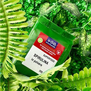 Bột tảo Spirulina hữu cơ Sottolestelle 200g