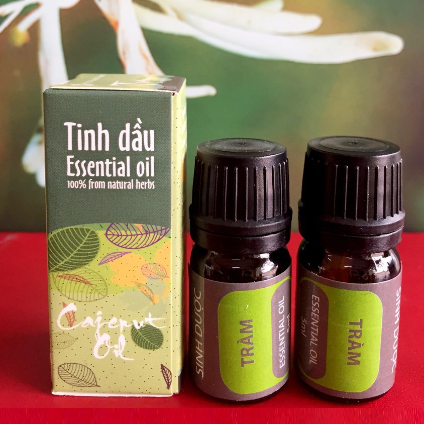 Tinh dầu tràm gió Sinh Dược 5ml