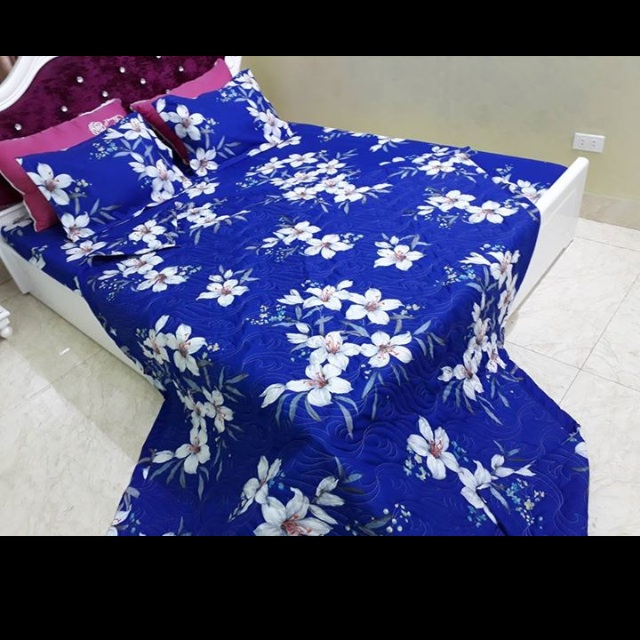 Set chăn ga gối poly