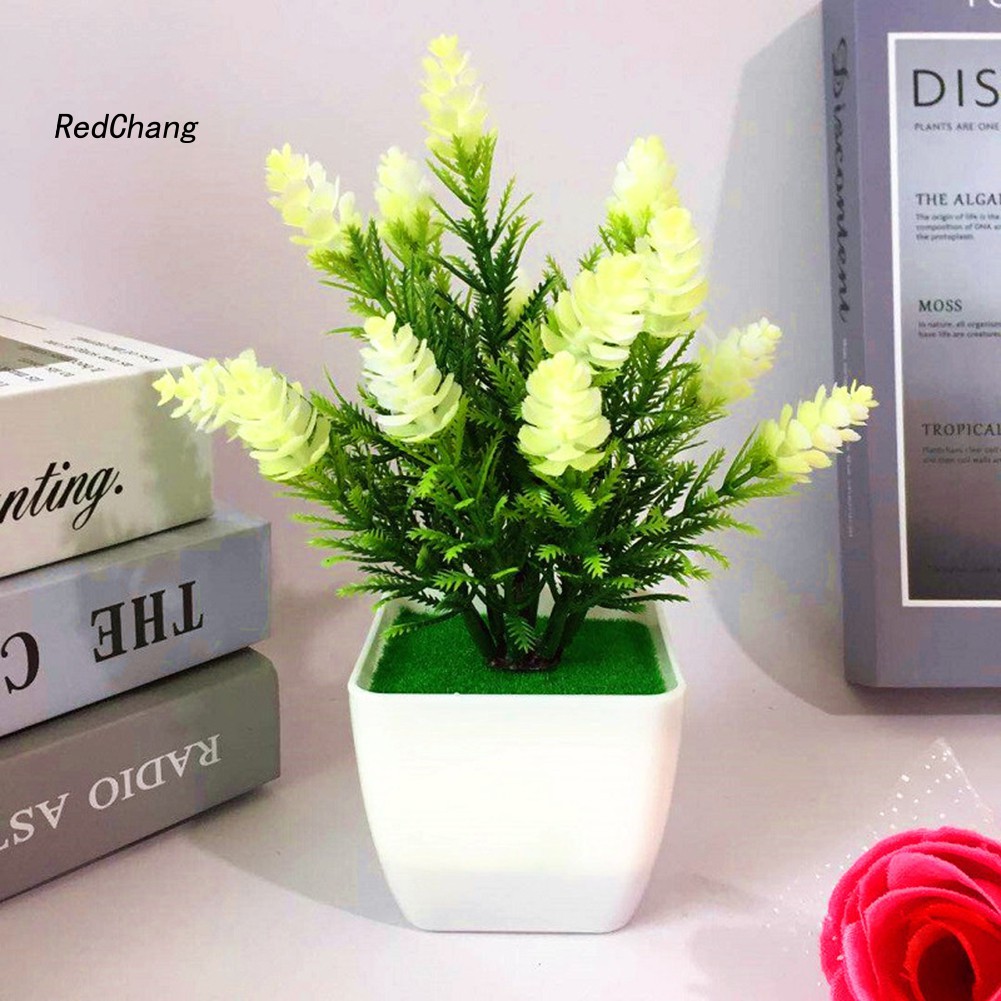 ♧Phụ Kiện Chuyên Dụng Dành Cho Fzhh Fzhh♧1 Cây Thông Nhân Tạo Hình Nón Trang Trí Nhà Cửa