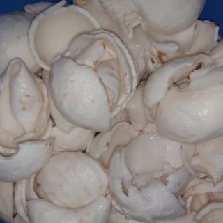 Dừa non đã làm sạch 3kg ( hàng đặt trước 1-2 ngày)