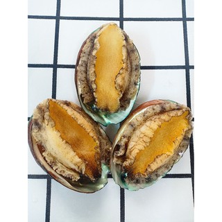 (HCM) Bào ngư Hàn Quốc size vừa đã làm sạch