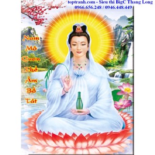 Tranh thêu chữ thập Quan Âm bồ tát 88826 chưa thêu