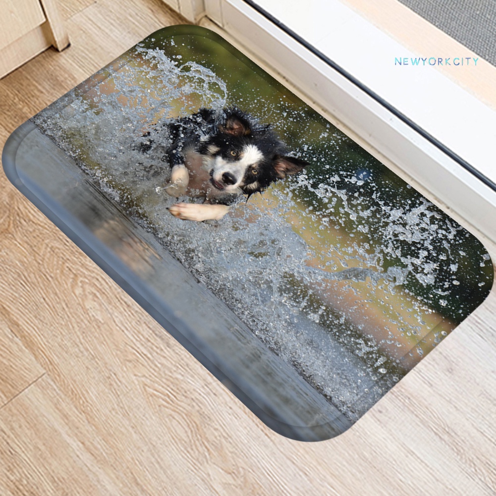 Thảm Chùi Chân Chống Trượt Hình Chú Chó Ngộ Nghĩnh