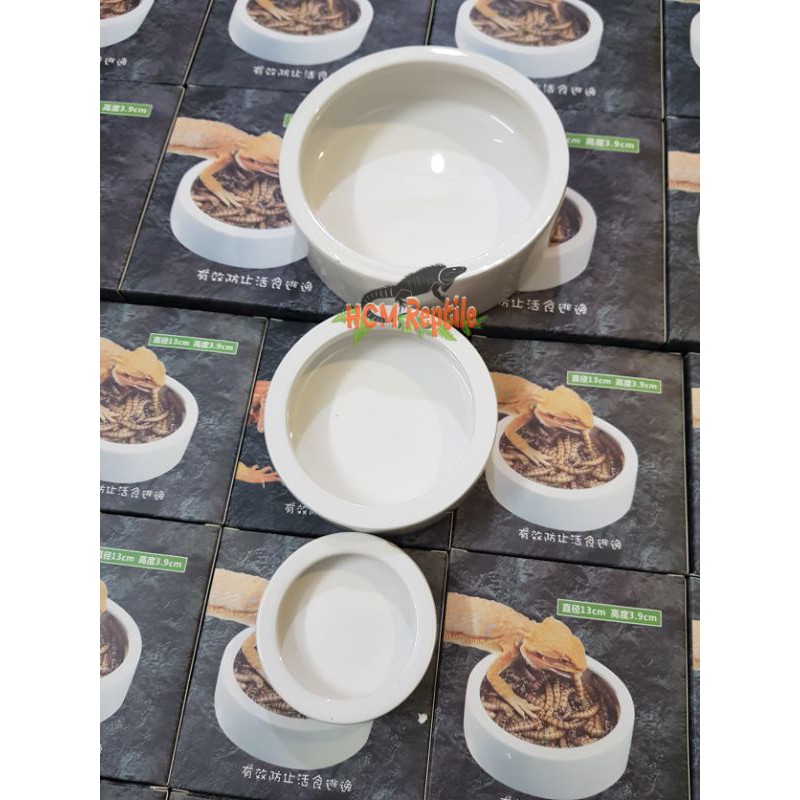 Chén sứ đựng côn trùng (có 3 size)