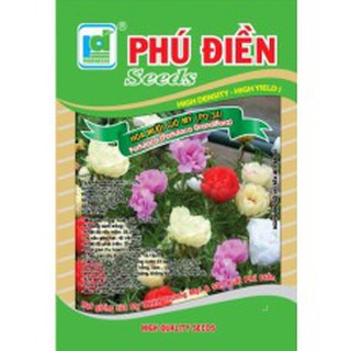 [Rẻ Vô Địch] hạt giống Mười giờ Mỹ