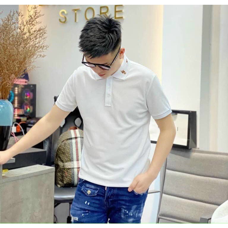 Áo Polo nam Gucci rắn ong thêu, áo polo nam đẹp tay ngắn 100% cotton Amani hàng VNXK