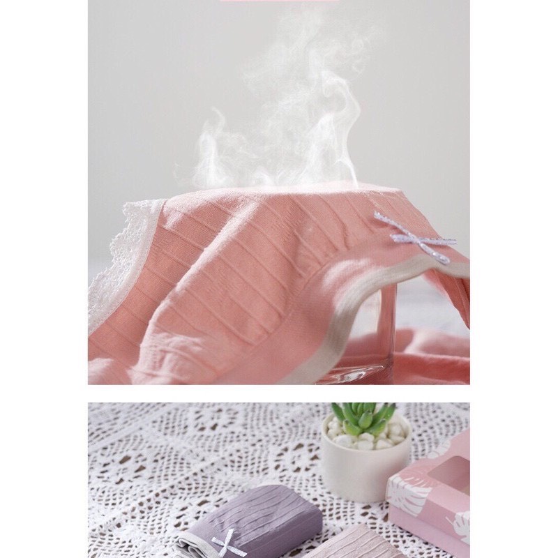 Quần lót nữ LENABRA, hộp 5 quần lót thiên nga cotton co giãn kháng khuẩn có nơ xinh