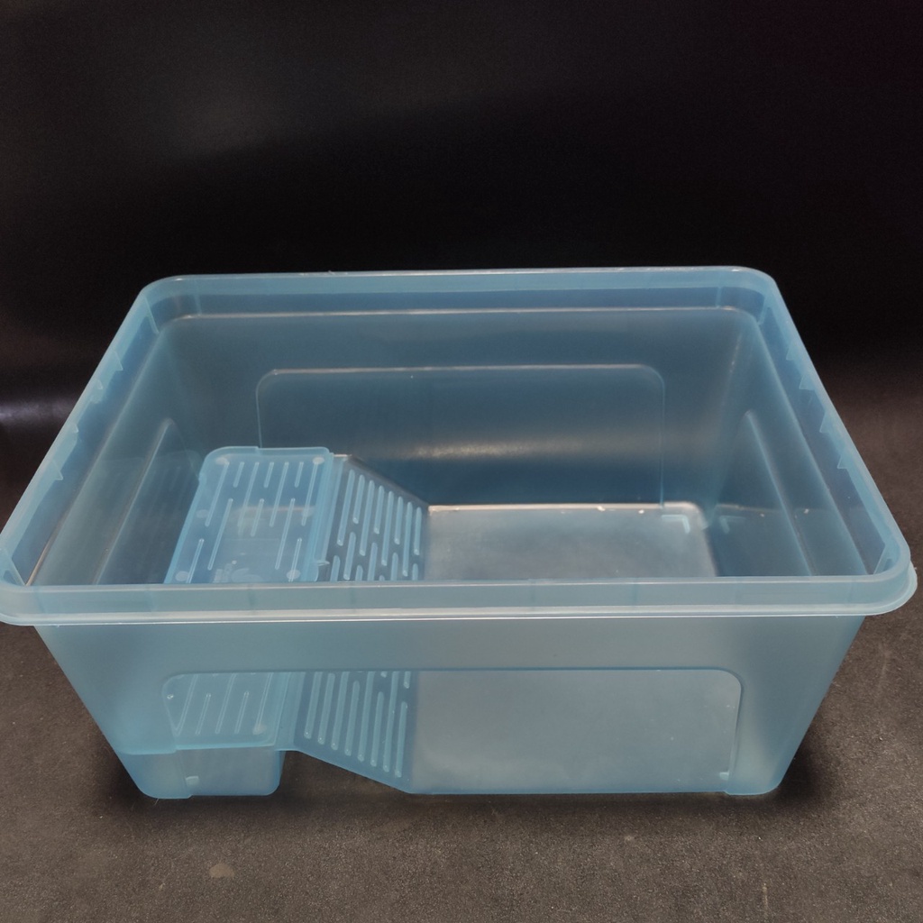 Hồ nuôi rùa chuyên dụng - Bể nuôi rùa và thú bò sát bằng nhựa