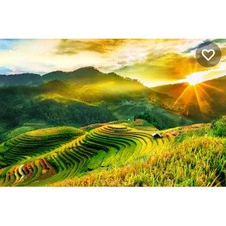 Tranh phông nền dán hồ cá VTC  Mù Căng Chải MCC001 KT 50 x 30 cm