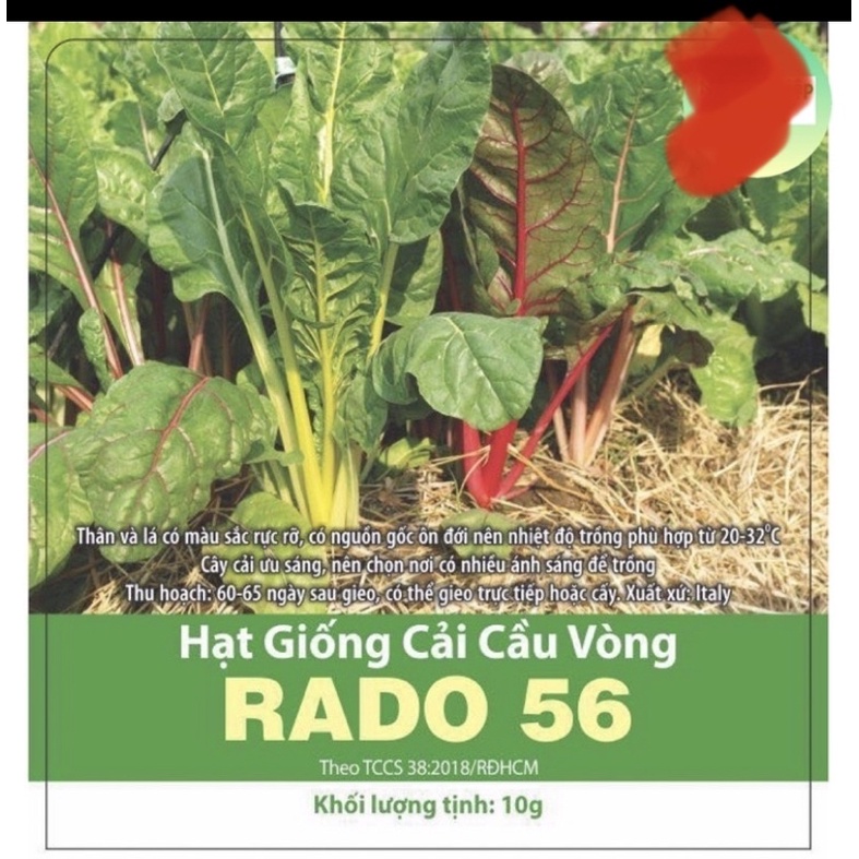 Hạt giống cải cầu vòng