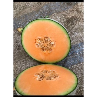 Giao hcm dưa lưới trái 1.6->2kg hàng cty chuẩn vietgap