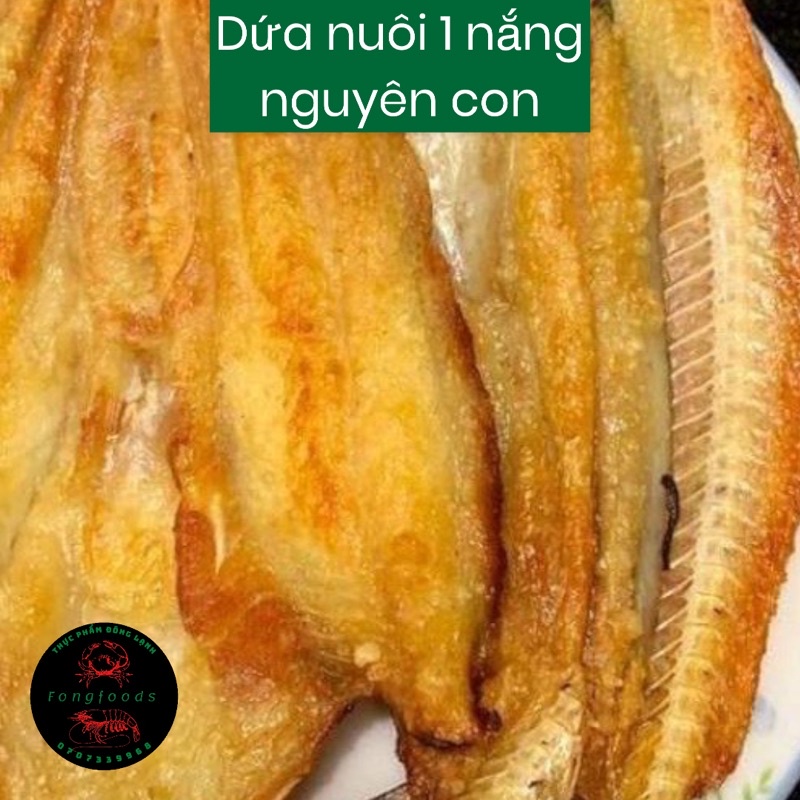 khô cá dứa nuôi 1 nắng nguyên con 700-1kg)