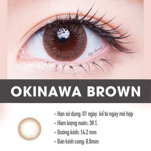 Kính áp tròng màu dùng 1 ngày Eye Secret