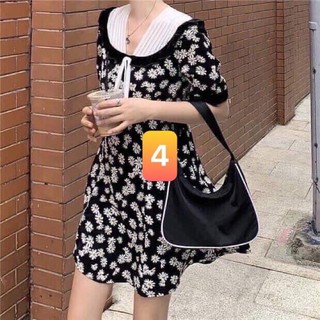 Váy cúc hoạ mi cổ trắng