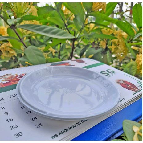 Phụ Kiện Trang Trí Bánh Sinh Nhật Bánh Kem - 1000 đĩa nhựa ăn bánh sinh nhật