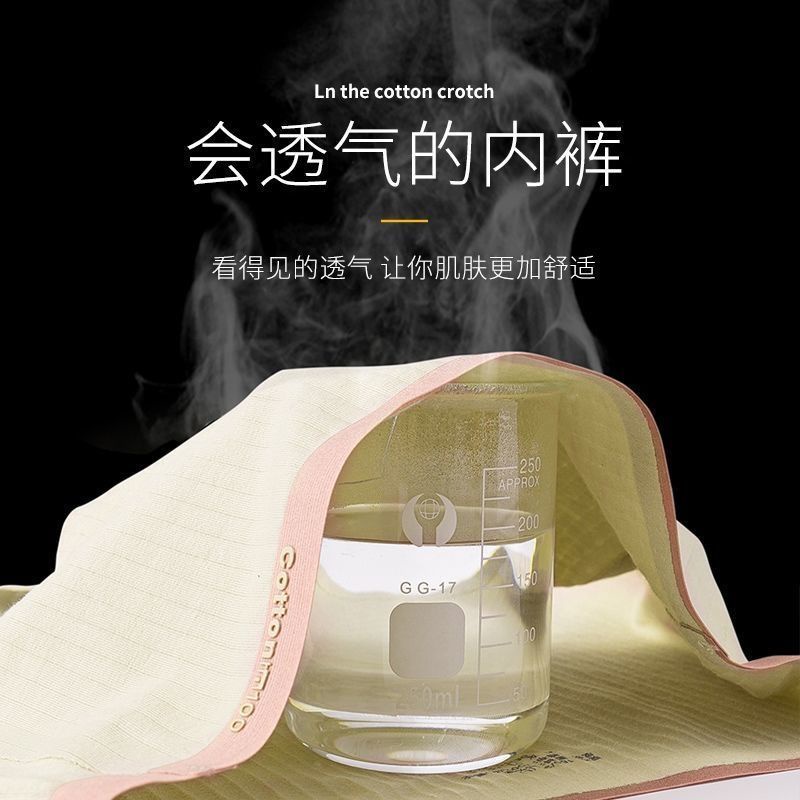 Quần Lót Cotton Lưng Cao Không Đường May Kháng Khuẩn Thoáng Khí Cho Phụ Nữ Sau Sinh