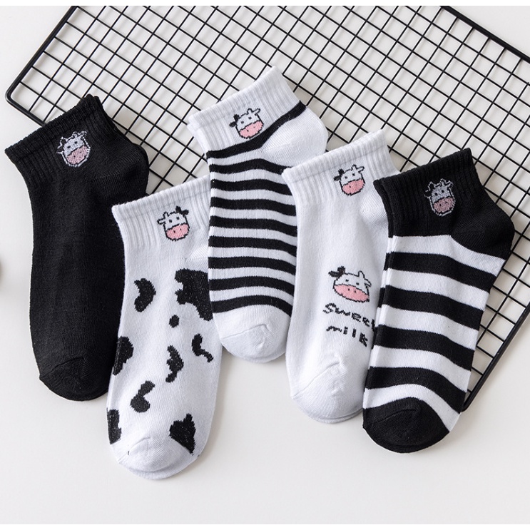 Set 5 đôi tất nữ vớ nữ con bò sữa ngộ nghĩnh đáng yêu chất siêu mềm mịn Cami.makeup TNX04