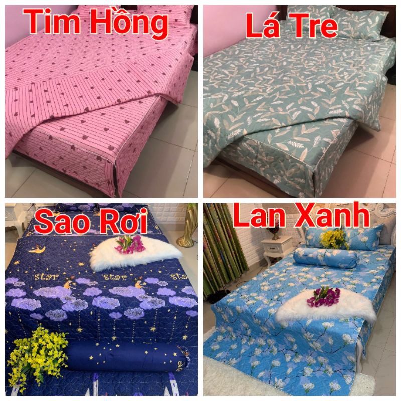 Ga và 2 vỏ gối nằm trần bông. Cotton poly Việt