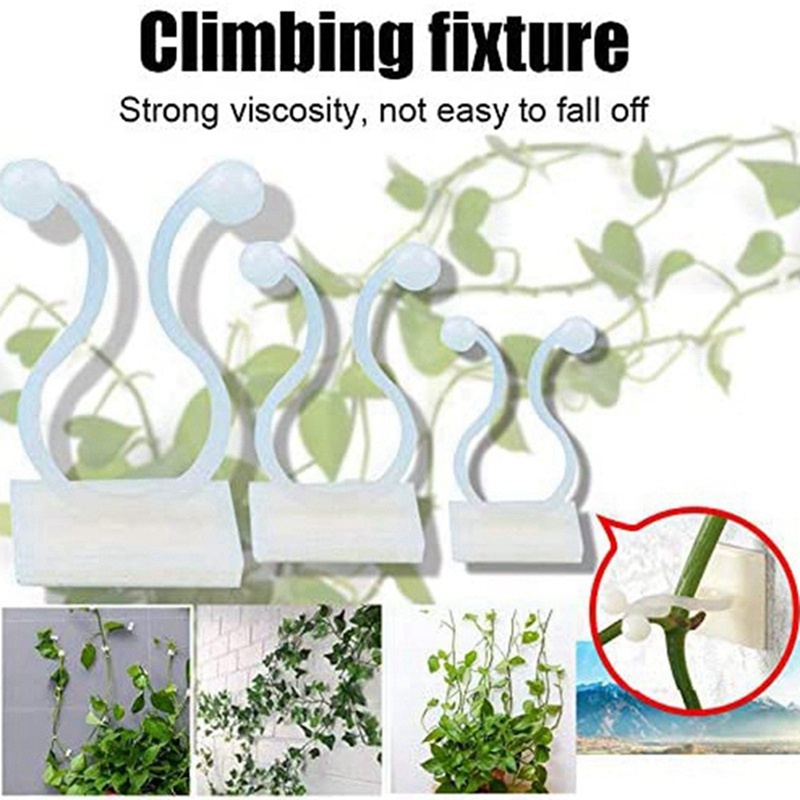 Set 50 Kẹp Cố Định Dây Leo Treo Tường Vô Hình Cho Sân Vườn