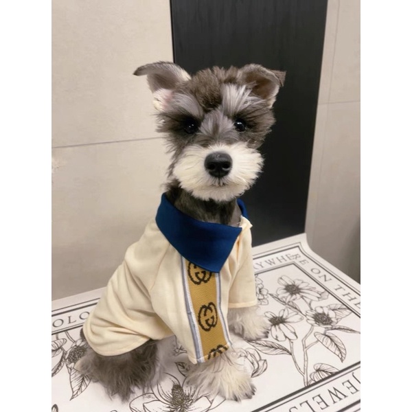 ÁO POLO GUCCl cho chó mèo