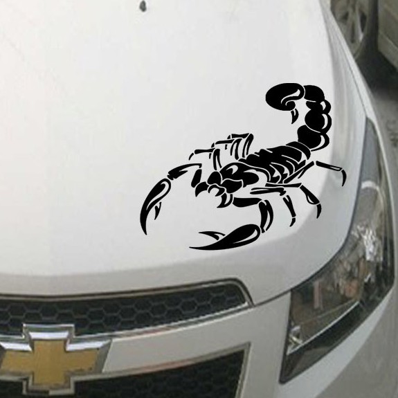 Miếng Dán Trang Trí Xe Ô Tô - Hình Bọ Cạp Cá Tính