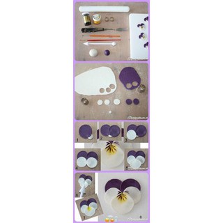 Set khuôn sắt tròn 6c