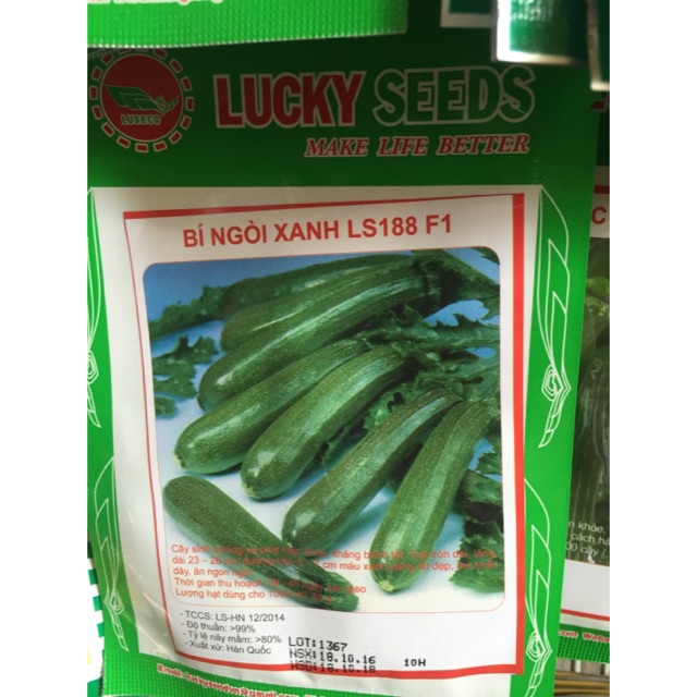 Hạt giống bí ngồi xanh 10 hạt
