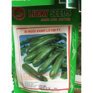 Hạt giống bí ngồi xanh 10 hạt