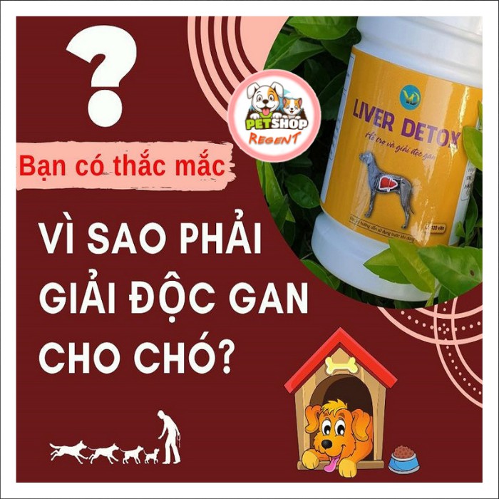 Hỗ Trợ Và Giải Độc Gan Chó Mèo - Liver Detox