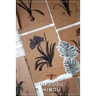 POSTCARD 30 TẤM GIẤY KRAFT-HOA LILY