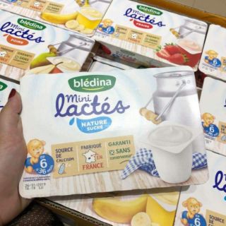 Sữa chua Bledina đủ vị