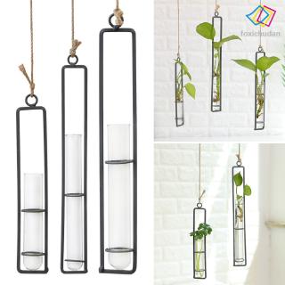 Lọ Hoa Thủy Tinh Dạng Ống Treo Dùng Trang Trí