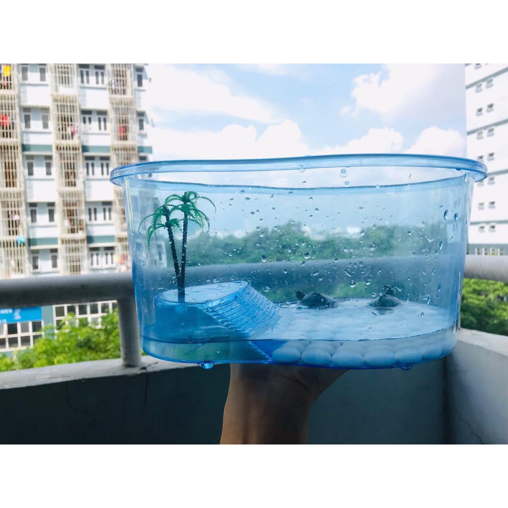 Bể nhựa nuôi rùa baba, cá cảnh, bể nuôi baba babycó chỗ phơi nắng