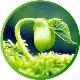 COMBO KHÁCH SỈ ĐỒ LÓT HỒNG HÀ