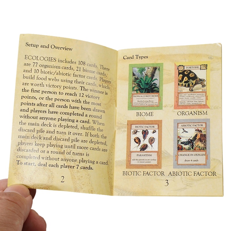 Bộ Bài Tarot Cổ Điển Độc Đáo