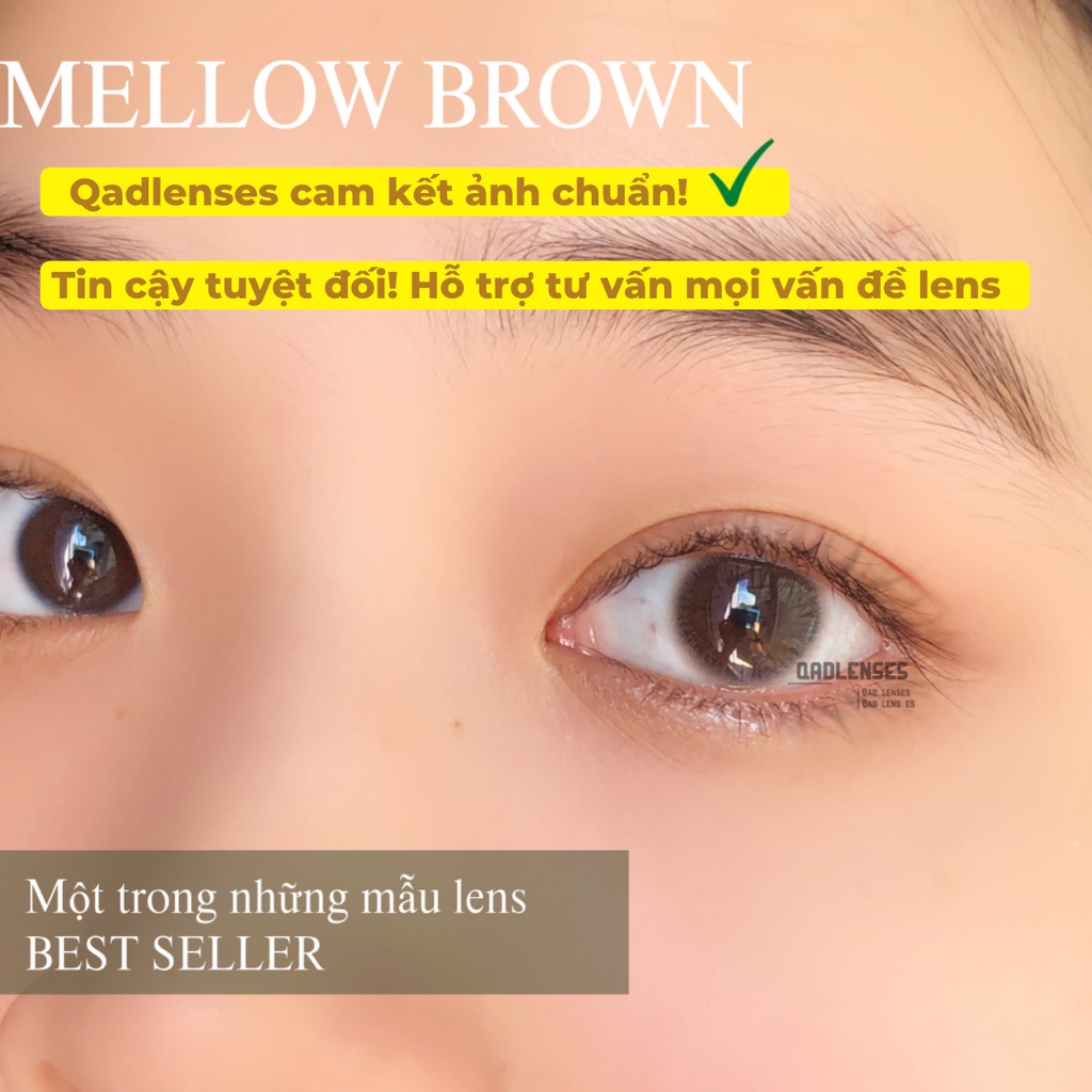 Lens nâu tự nhiên cận không giãn tròng kèm khay dụng cụ đeo Thai Brown - Kính áp tròng dành cho mắt - Qadlenses