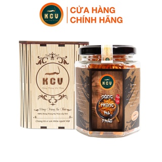 Đông trùng hạ thảo khô - kim cương vàng